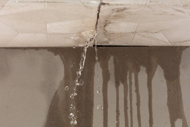 Professional Structural Drying technician working in Rexford, NY